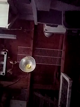 Snapshot of salchichon_69 chatting on March 31, 2:28 pm salchichon 69 online show from March 31, 2:28 pm