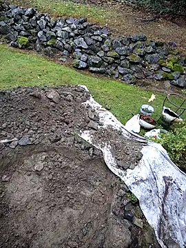 KingSlim56 online show from November 15, 8:16 pm