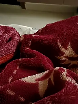 RealcoupleP online show from November 25, 12:05 pm