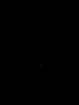 Snapshot of Nidge251 chatting on November 4, 5:28 am Nidge251 online show from November 4, 5:28 am