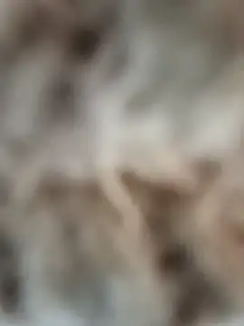 Snapshot of mauroxx08 chatting on April 5, 3:20 pm mauroxx08 online show from April 5, 3:20 pm