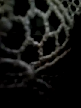 mauroxx08 online show from May 11, 2:34 pm