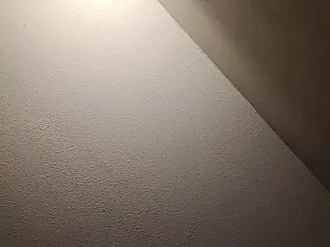 taterae online show from November 23, 12:05 pm