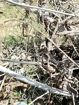 cute1gfbf online show from March 5, 7:05 am