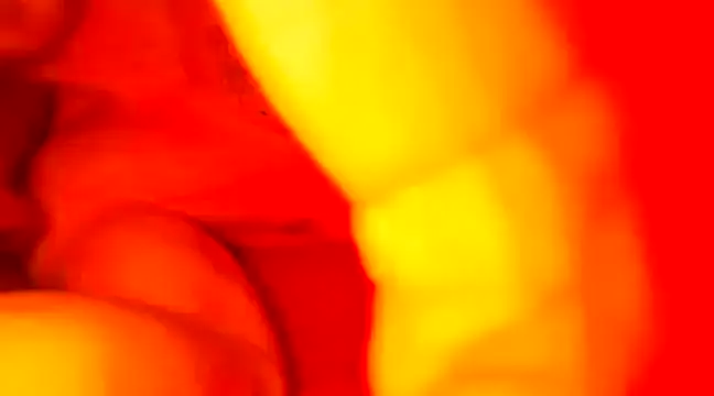 Snapshot of JCstrings chatting on February 21, 7:43 pm JCstrings online show from February 21, 7:43 pm