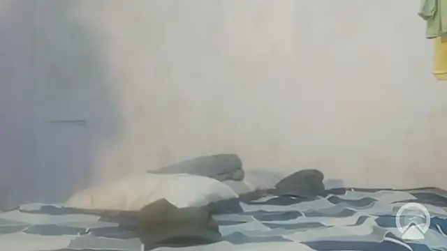 longsexji online show from March 18, 6:55 pm