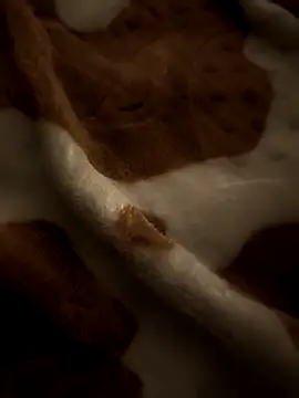 Snapshot of benhadj71 chatting on April 4, 2:10 am benhadj71 online show from April 4, 2:10 am