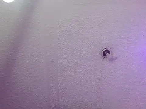 Pandora 9666 online show from October 24, 3:25 am