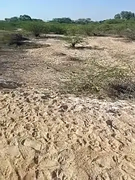 Snapshot of Delhi_BoyBigcock chatting on March 11, 3:05 am Delhi BoyBigcock online show from March 11, 3:05 am