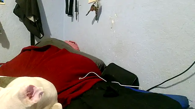 PornStro921 online show from May 3, 4:02 pm