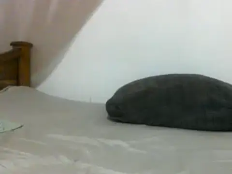 Snapshot of sissydinu chatting on February 28, 6:10 am sissydinu online show from February 28, 6:10 am
