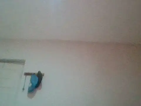 Snapshot of bafeng chatting on July 24, 9:40 am bafeng online show from July 24, 9:40 am