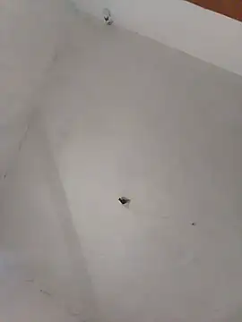 Snapshot of Perick72 chatting on March 8, 3:13 pm Perick72 online show from March 8, 3:13 pm