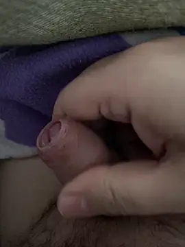 Snapshot of littletoy64 chatting on February 7, 8:07 am littletoy64 online show from February 7, 8:07 am