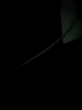 Snapshot of enoc369 chatting on December 4, 8:12 am enoc369 online show from December 4, 8:12 am