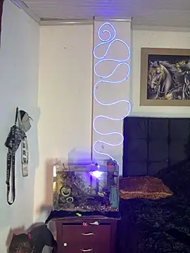 Snapshot of CRAZY-BOY99 chatting on December 14, 11:20 pm CRAZY-BOY99 online show from December 14, 11:20 pm