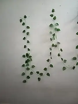 Neha-Bhabhi-Rasily online show from February 14, 4:42 am