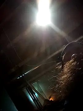 SirJonBradley online show from September 19, 10:49 am