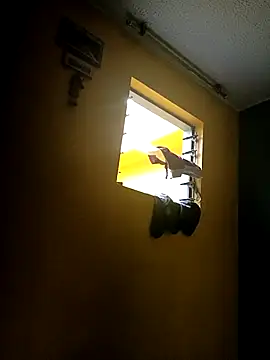 Ariana Rodriguez online show from October 6, 12:02 pm