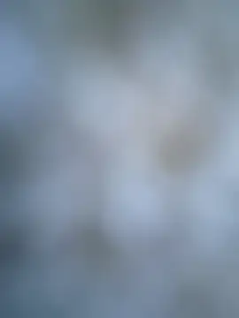 coolbrady17 online show from March 6, 10:52 am