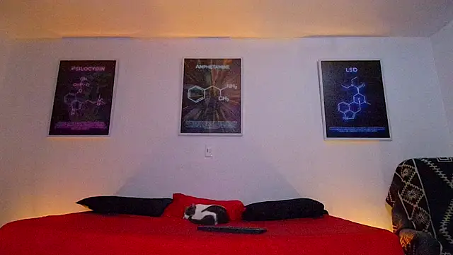 22Amatista online show from March 11, 7:47 am