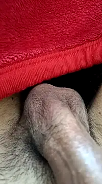 Jaipuri Boy online show from March 21, 10:06 am