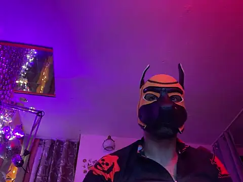 Snapshot of danix_wild_wolf chatting on December 20, 4:30 am danix wild wolf online show from December 20, 4:30 am