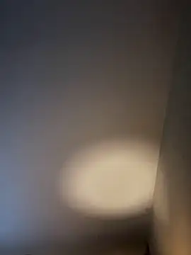 Snapshot of KITTYBOOBOOFUXX chatting on February 3, 6:51 am KITTYBOOBOOFUXX online show from February 3, 6:51 am