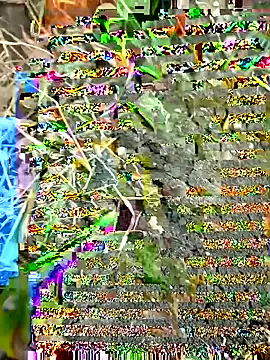 Snapshot of himvilohi08 chatting on September 27, 12:32 pm himvilohi08 online show from September 27, 12:32 pm