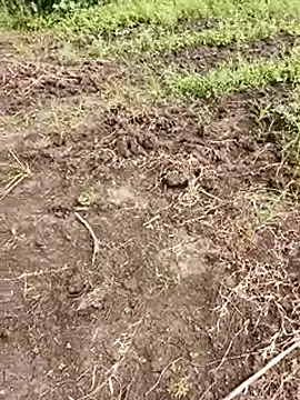 Snapshot of himvilohi08 chatting on October 1, 5:35 am himvilohi08 online show from October 1, 5:35 am