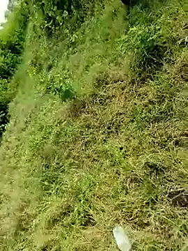 Snapshot of himvilohi08 chatting on October 6, 4:10 am himvilohi08 online show from October 6, 4:10 am