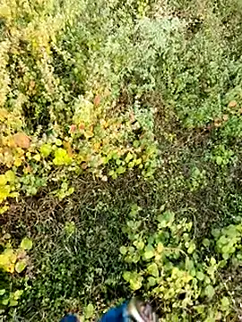 Snapshot of himvilohi08 chatting on December 4, 2:43 am himvilohi08 online show from December 4, 2:43 am