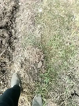 Snapshot of himvilohi08 chatting on January 18, 4:05 am himvilohi08 online show from January 18, 4:05 am