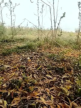 Snapshot of himvilohi08 chatting on February 4, 4:07 am himvilohi08 online show from February 4, 4:07 am