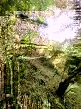 Snapshot of himvilohi08 chatting on March 16, 3:23 am himvilohi08 online show from March 16, 3:23 am