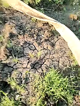 Snapshot of himvilohi08 chatting on March 21, 12:32 pm himvilohi08 online show from March 21, 12:32 pm