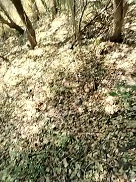 Snapshot of himvilohi08 chatting on March 22, 7:12 am himvilohi08 online show from March 22, 7:12 am