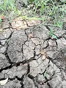 Snapshot of himvilohi08 chatting on April 1, 5:08 am himvilohi08 online show from April 1, 5:08 am