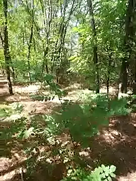 Snapshot of sile47 chatting on September 21, 10:06 am sile47 online show from September 21, 10:06 am