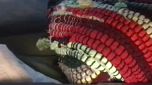 twink69Finger online show from March 31, 12:49 pm