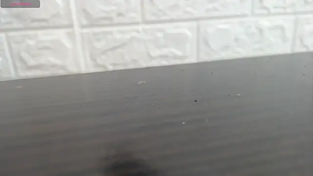 nei girl online show from December 1, 11:26 am