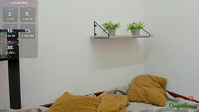  Orquidea  online show from November 15, 1:51 pm