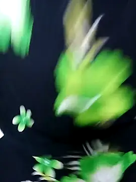 tamiltady online show from September 12, 5:57 pm