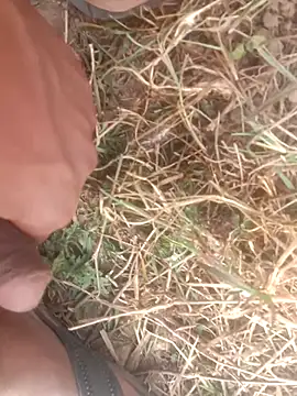 Snapshot of perplexedsoul chatting on December 1, 9:14 am perplexedsoul online show from December 1, 9:14 am