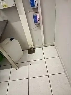 paptsimo online show from November 25, 2:44 am