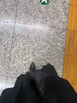 Snapshot of xiaoyuan01 chatting on October 31, 2:45 am xiaoyuan01 online show from October 31, 2:45 am