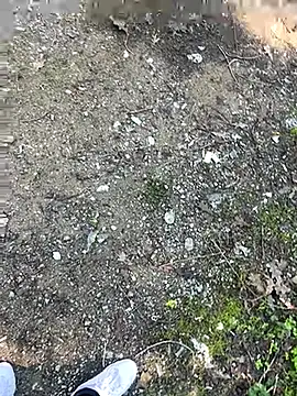 cihan 4141 online show from October 20, 8:59 am