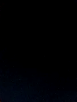 srtsara online show from November 11, 4:29 pm