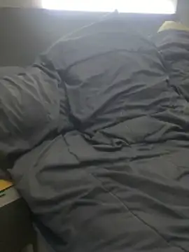 pophiboy online show from November 15, 3:52 pm