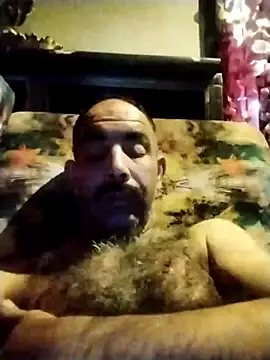 salimbasha online show from October 23, 3:28 am